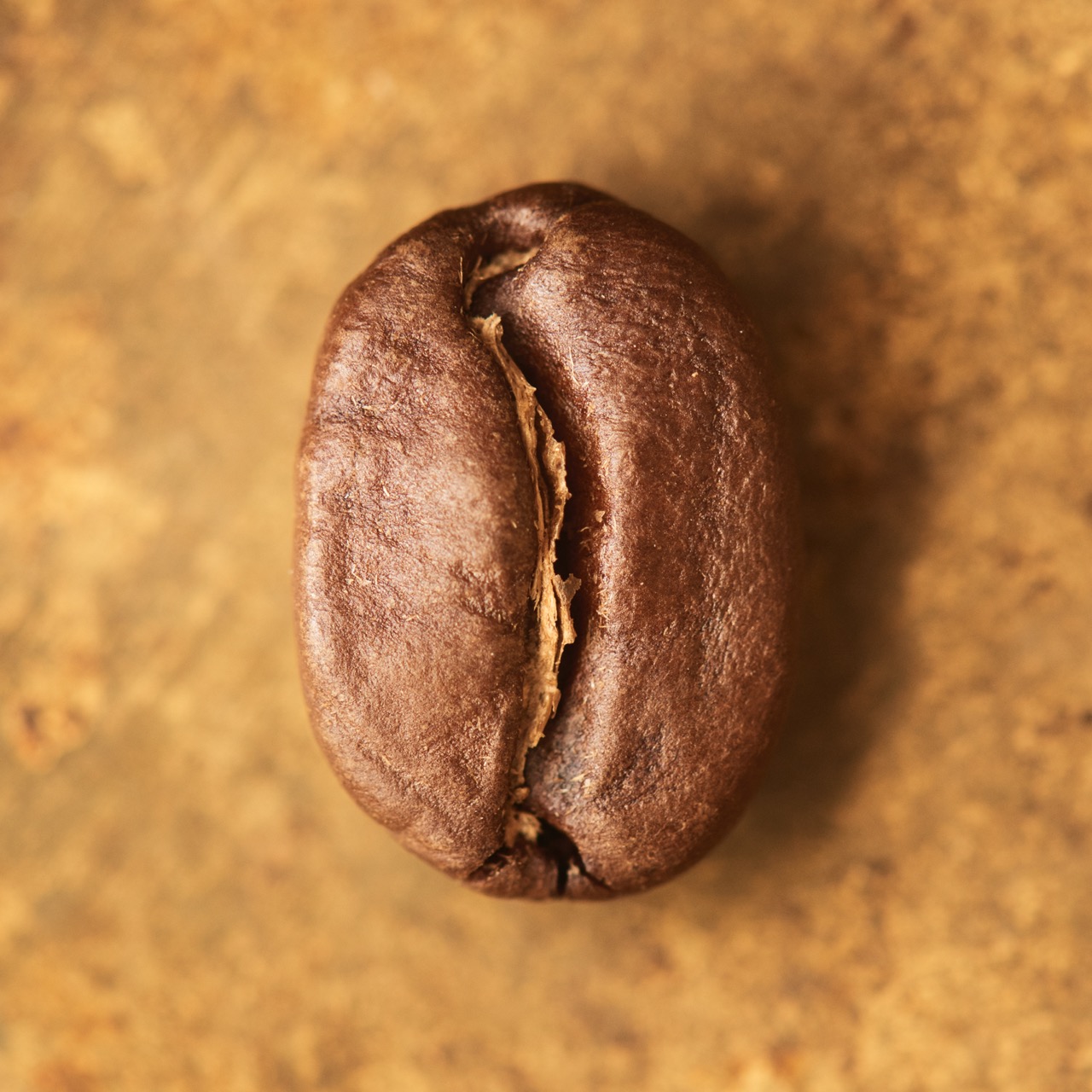 Photo of Sake Women's Coffee